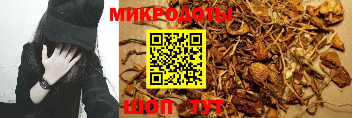 Галлюциногенные грибы мицелий Курчатов