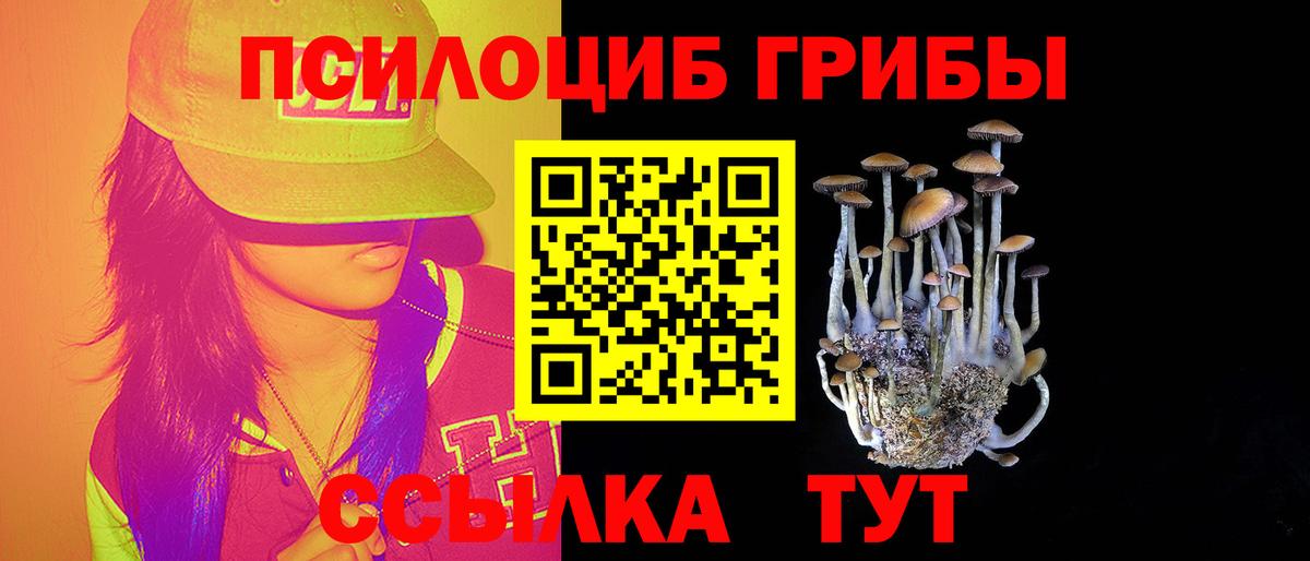 магазин продажи наркотиков  Галлюциногенные грибы прущие грибы  Вход с VPN  Курчатов  Псилоцибиновые грибы мицелий 